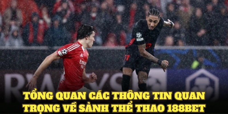 Tổng quan các thông tin quan trọng về sảnh thể thao 188BET